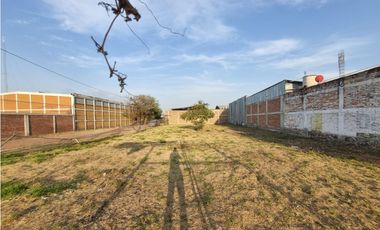 TERRENO EN RENTA EL SALITRE 800 M2, MICROINDUSTRIAL SAHUAYO MICHOACAN