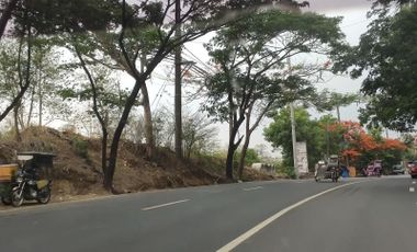 Commercial lot Along Aguinaldo highway Trece Martirez Cavite