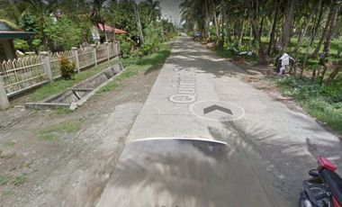 400 square meters Lot with house in New Pandan Panabo City Best for Apartment, Boarding Houses City Proper