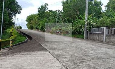 Residential Farm Lot for Sale in Manila East Lakeview Farms Morong Rizal, contact Donald @ 0955561---- or 0933825----