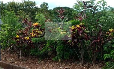 Residential Farm Lot for Sale in Manila East Lakeview Farms Morong Rizal, contact Donald @ 0955561---- or 0933825----