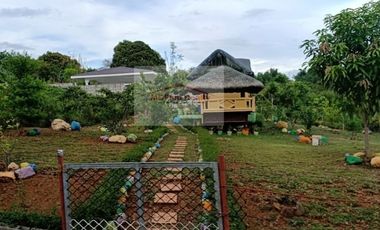 Residential Farm Lot for Sale in Manila East Lakeview Farms Morong Rizal, contact Donald @ 0955561---- or 0933825----