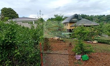 Residential Farm Lot for Sale in Manila East Lakeview Farms Morong Rizal, contact Donald @ 0955561---- or 0933825----