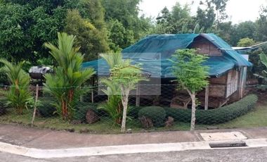 Residential Farm Lot for Sale in Manila East Lakeview Farms Morong Rizal, contact Donald @ 0955561---- or 0933825----