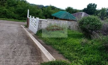 Residential Farm Lot for Sale in Manila East Lakeview Farms Morong Rizal, contact Donald @ 0955561---- or 0933825----