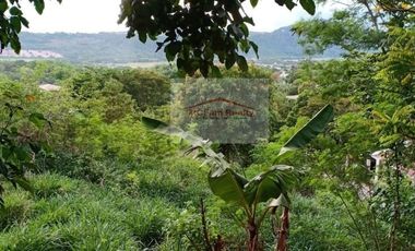 Residential Farm Lot for Sale in Manila East Lakeview Farms Morong Rizal, contact Donald @ 0955561---- or 0933825----