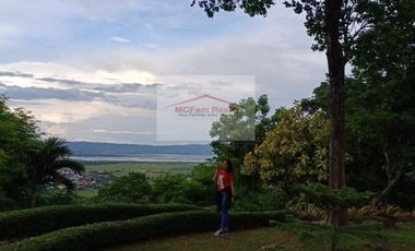 Residential Farm Lot for Sale in Manila East Lakeview Farms Morong Rizal, contact Donald @ 0955561---- or 0933825----