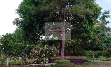 Residential Farm Lot for Sale in Manila East Lakeview Farms Morong Rizal, contact Donald @ 0955561---- or 0933825----