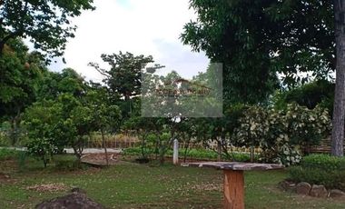 Residential Farm Lot for Sale in Manila East Lakeview Farms Morong Rizal, contact Donald @ 0955561---- or 0933825----