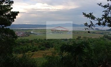 Residential Farm Lot for Sale in Manila East Lakeview Farms Morong Rizal, contact Donald @ 0955561---- or 0933825----