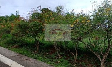 Residential Farm Lot for Sale in Manila East Lakeview Farms Morong Rizal, contact Donald @ 0955561---- or 0933825----
