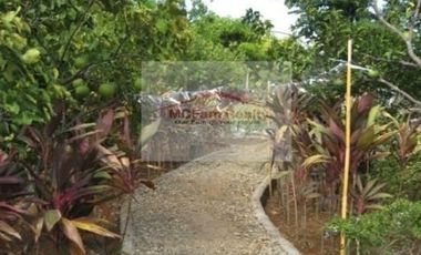 Residential Farm Lot for Sale in Manila East Lakeview Farms Morong Rizal, contact Donald @ 0955561---- or 0933825----