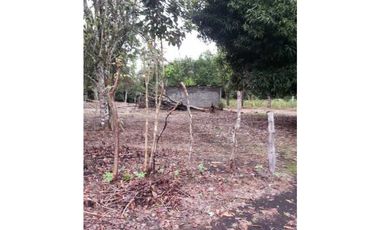 EXCELENTE FINCA CON SUELO PRODUCTIVO Y PLANO