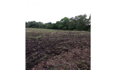 EXCELENTE FINCA CON SUELO PRODUCTIVO Y PLANO