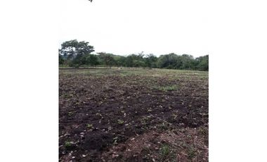 EXCELENTE FINCA CON SUELO PRODUCTIVO Y PLANO