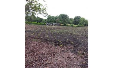 EXCELENTE FINCA CON SUELO PRODUCTIVO Y PLANO