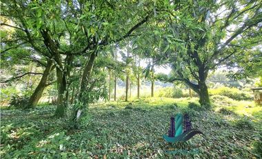 VENDO HERMOSA FINCA CON MUCHO POTENCIAL TURISTICO