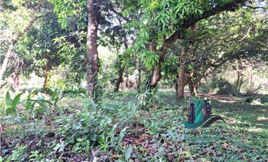 VENDO HERMOSA FINCA CON MUCHO POTENCIAL TURISTICO