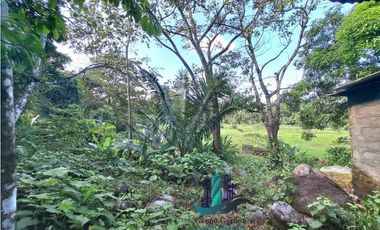 VENDO HERMOSA FINCA CON MUCHO POTENCIAL TURISTICO