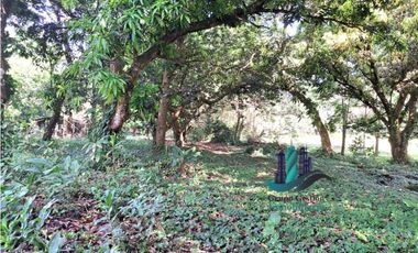 VENDO HERMOSA FINCA CON MUCHO POTENCIAL TURISTICO