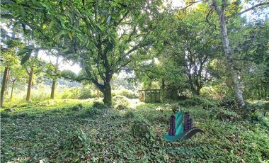 VENDO HERMOSA FINCA CON MUCHO POTENCIAL TURISTICO