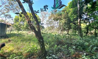 VENDO HERMOSA FINCA CON MUCHO POTENCIAL TURISTICO