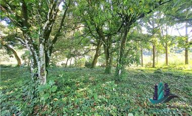 VENDO HERMOSA FINCA CON MUCHO POTENCIAL TURISTICO