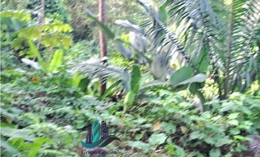 VENDO HERMOSA FINCA CON MUCHO POTENCIAL TURISTICO