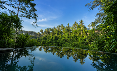 Stunning Jungle and river view Leasehold Villa in Serene Ubud - Your Turn-Key Investment Opportunity