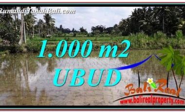 Tanah murah di Ubud Pejeng