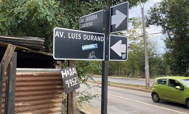 Sitio en Venta en COD36039 Luis Durand