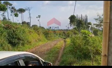 Lahan di Mekarmaik Cimenyan oraytapa Bandung barat