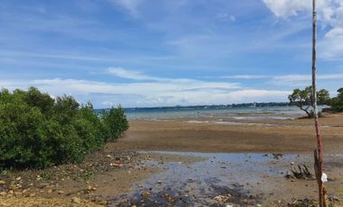 Affordable 100 SQM Beach Lot for Sale in Cotcot, Liloan Cebu