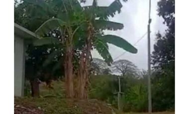 VENDO TERRENO EN LA CHORRERA CAPIRA LIDICE 150000MTS