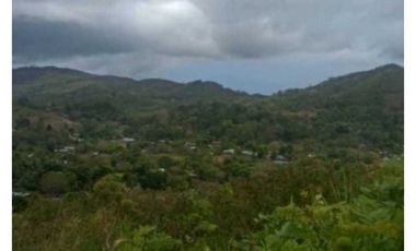VENDO TERRENO EN LA CHORRERA CAPIRA LIDICE 150000MTS