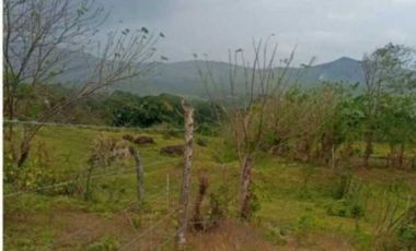 VENDO TERRENO EN LA CHORRERA CAPIRA LIDICE 150000MTS