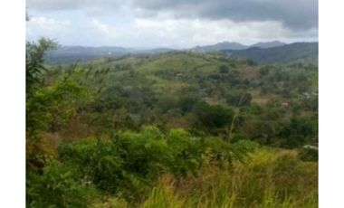 VENDO TERRENO EN LA CHORRERA CAPIRA LIDICE 150000MTS