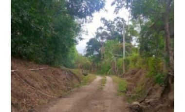 VENDO TERRENO EN LA CHORRERA CAPIRA LIDICE 150000MTS