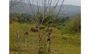 VENDO TERRENO EN LA CHORRERA CAPIRA LIDICE 150000MTS