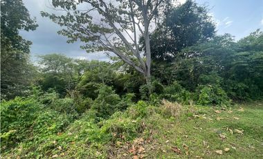 TERRENO 6.755 MT2 REBAJADO EXCELENTE UBICACION  AV DOMINGO DIAZ CV