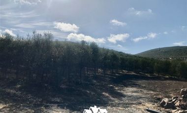 Sitio en Venta en camino a pencahue , sector quepo, camino a hacia el norte