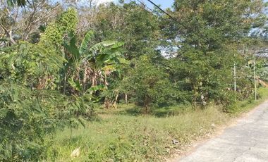 Pekarangan SHM Bisa Dicicil Dekat Koramil Ngombol