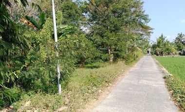 Pekarangan SHM Bisa Dicicil Dekat Koramil Ngombol