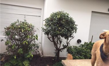 VENDO CHALET (4) Ambientes- PARQUE LURO