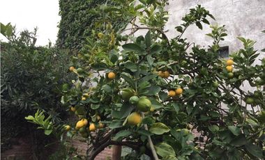 VENDO CHALET (4) Ambientes- PARQUE LURO