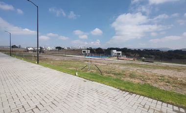 Lotes en venta en Sauco Campestre Haras del Bosque, Periférico, Puebla