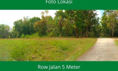 Kavling Sedayu Jogja, 500 Meter Kelurahan Argodadi Sedayu