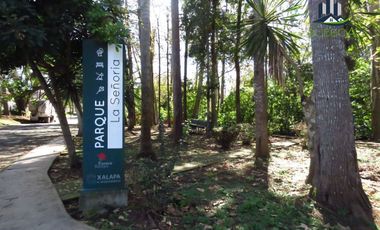 Terreno de 500 m2 en Venta Las Ánimas Xalapa