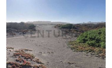 GRAN TERRENO PRIMERA LÍNEA PUNTA DE LOBOS