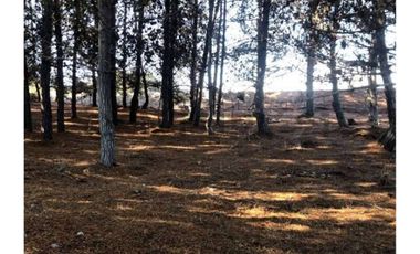 GRAN TERRENO PRIMERA LÍNEA PUNTA DE LOBOS